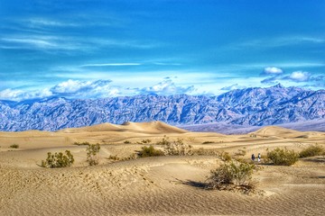 Fototapeta na wymiar Mesquite sand dunes, Death valley, California