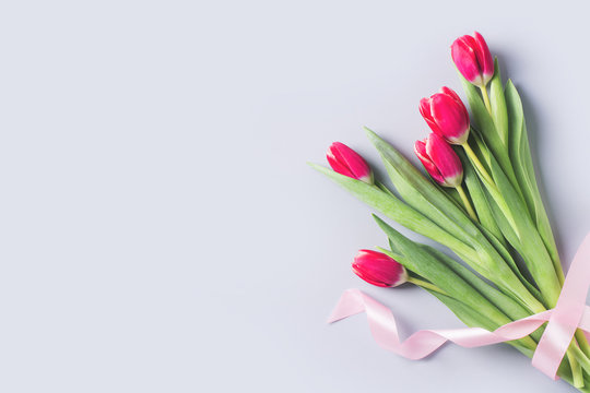 Tulips flat lay with pink and white flowrs on blue background