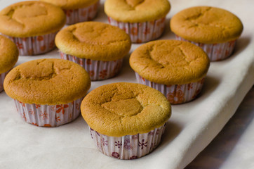 Homemade Cupcake for Breaking Time.