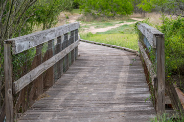 A well maintained recreational grounds in Estero Llano Grande State Park, Texas
