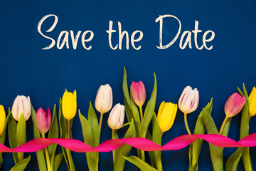 English Text Save The Date. White And Pink Tulip Spring Flowers With Ribbon. Blue Wooden Background