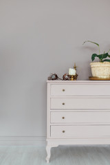 chic chest of drawers with home plants and decoration in a spacious room