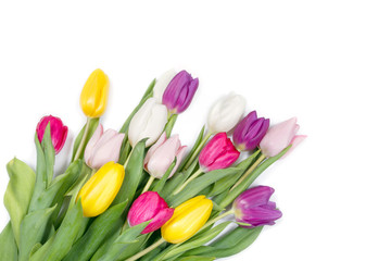 Obraz premium Tulips flowers background