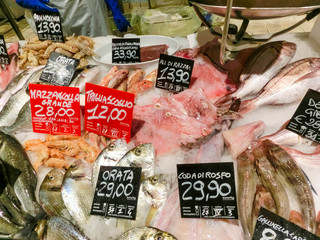 Italian fish market with many different fresh fishes
