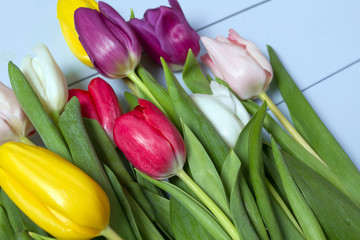 Tulips flowers background