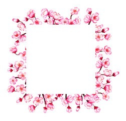 Watercolor floral sakura frame. Spring cherry blossom wreath, isolated on white.