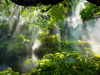 Foto op Canvas Tropische jungle met rivier en zonnestraal en mistig in de tuin © SASITHORN