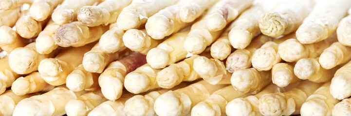 panorama with a lot of white asparagus