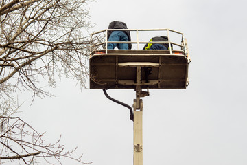 konserwacja zieleni © Henryk Olszewski