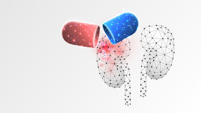 Human Kidneys medicaments in a capsule. treatment in a pill, vaccine concept. Low poly, wireframe 3d vector illustration. Abstract, polygonal image on white origami background