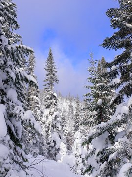 North America, Canada, Province of Quebec, Monts-Valin National Park, ghost trail