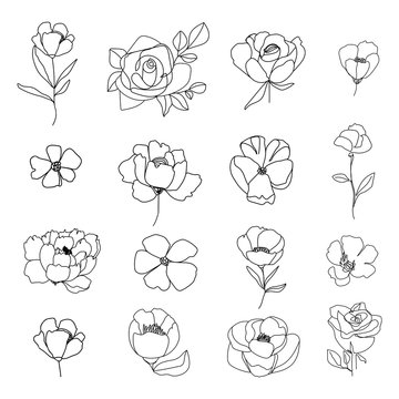 Set of linear various flower. Floral botany collection. Black and white art. Decorative elegant illustration for branding identity. Vector illustration.