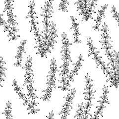 Rosemary herb graphic sketch black white seamless pattern background illustration vector