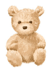 Brown Teddy bear on white background - isolated