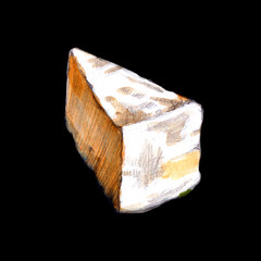 Camembert watercolor illustration on black background