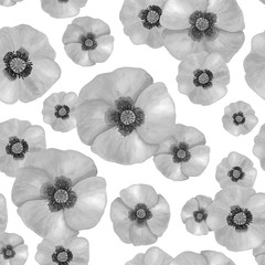 Watercolor black and white Poppy seamless pattern. Hand drawn botanical Papaver flower illustration isolated on white background. Monochrome field plant texture for decoration, design, textile