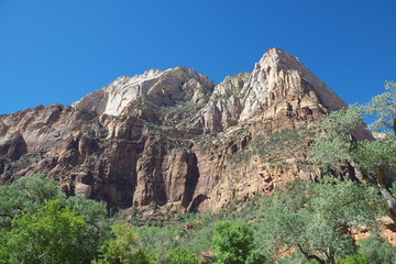 Fototapeta premium ザイオン国立公園