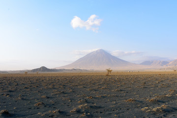 Semidesert in front of the Ol Doinyo Lengai vulcano near Lake Natron, East Africa, August 2017, Northern Tanzania