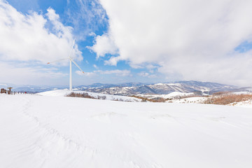 Daegwallyeong Sky sheep Ranch in Gangwon Province in winter Snowfall