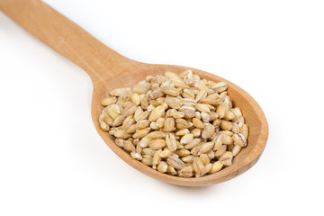 Raw pearl barley in wooden spoon closeup on white background