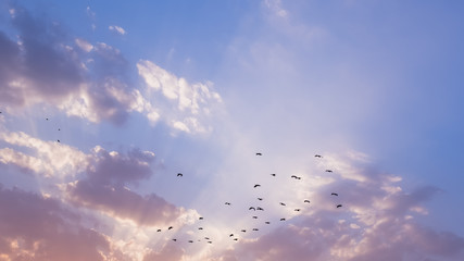 Rays of light pass through clouds on a blue and pink sky at sunset