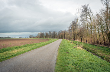 Fototapeta na wymiar Curved country road in an agricultural landscape. There is a plowed field on one side of the road. On the other side are a ditch and many bare trees. It is a cloudy winter day in the Netherlands.