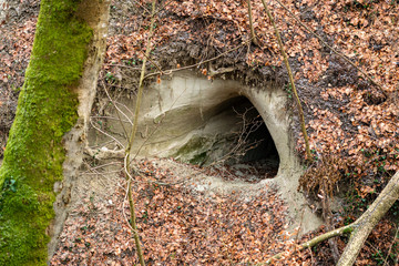 Discovered a few old tunnels from World War II