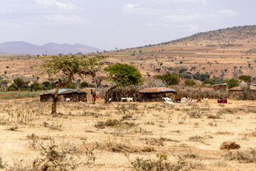 Maasai village in the savanna on the way to the Natron lake, Safari, East Africa, August 2017, Northern Tanzania