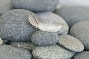 Fototapeta na wymiar Zen Style Feather Still Life