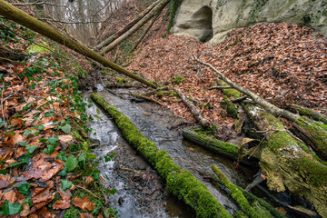 Discovered a few old tunnels from World War II