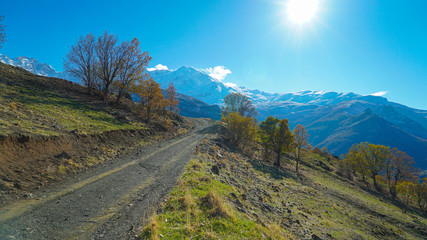 a beautiful view of nature with snowy mountains in the background and a countryside road goes toward the mountains