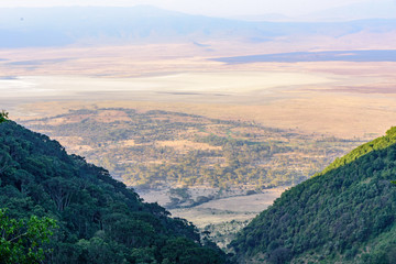 Obraz premium Ngorongoro crater overview. Northern Tanzania