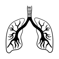 Human lungs Icon isolated illustration on white background