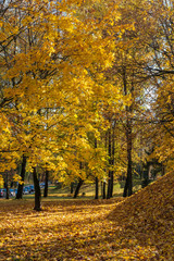 Vilnius in the autumn