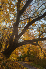 Obraz premium Vilnius in the autumn