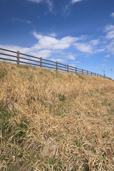 早春の放水路土手と青空