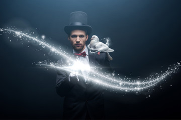 dove sitting on shoulder of young magician in hat with wand in dark room with smoke and glowing...