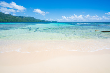 Fototapeta na wymiar tropical white sandy beach in Rincon, sunny day in Samana peninsula,Dominican Republic