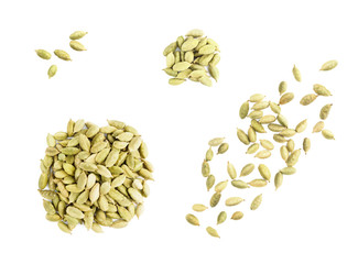Set of spice green cardamom isolated on white background in bunch