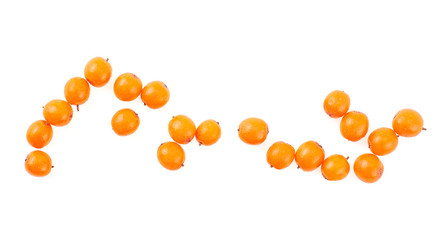 Sea buckthorn berries isolated on a white background, top view.