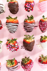Chocolate dipped strawberries