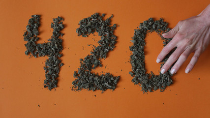 Top view female hands make a sign 420 from a hemp buds on red background