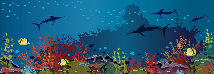 Fototapeta na wymiar Underwater sea - Coral reef and fishes