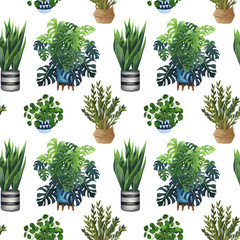 Aquarel kamerplanten groeien in potten naadloos patroon. Handgetekende bloemenboeket, kamerplanten en cactus in bloempot. Groen naadloos