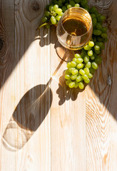 White Wine Glass on Ripe Green Grapes Background in Sunny Day