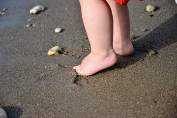 Small feet on a sandy wet beach. Little child's legs. Close-up