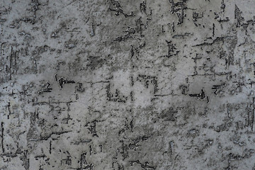 Texture of a grey stone decorative plaster or concrete wall. Abstract background for design. Gray decorative plaster inside the house.