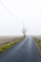 road in the field