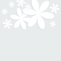 Paper flower. White flowers cut from paper on a gray background, isolated elements of floral design. Greeting card template. Vector illustration background.