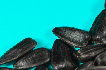 Sunflower seeds in  macro on blue background